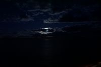
DSC00201